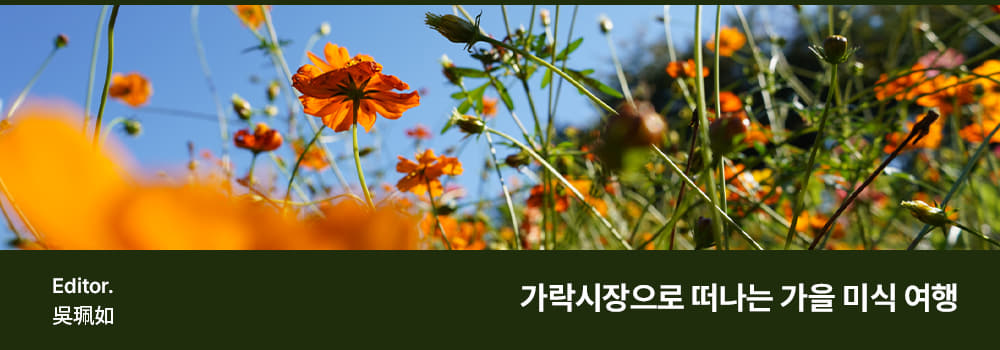 Editor. 吳珮如 / Title: 가락시장으로 떠나는 가을 미식 여행